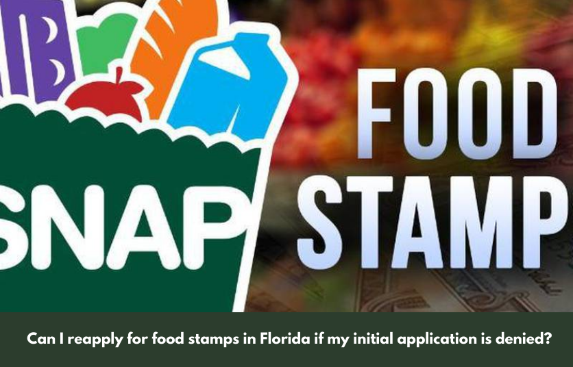 Can I reapply for food stamps in Florida if my initial application