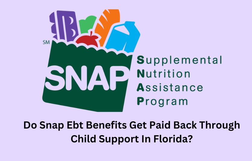Do Snap Ebt Benefits Get Paid Back Through Child Support In Florida