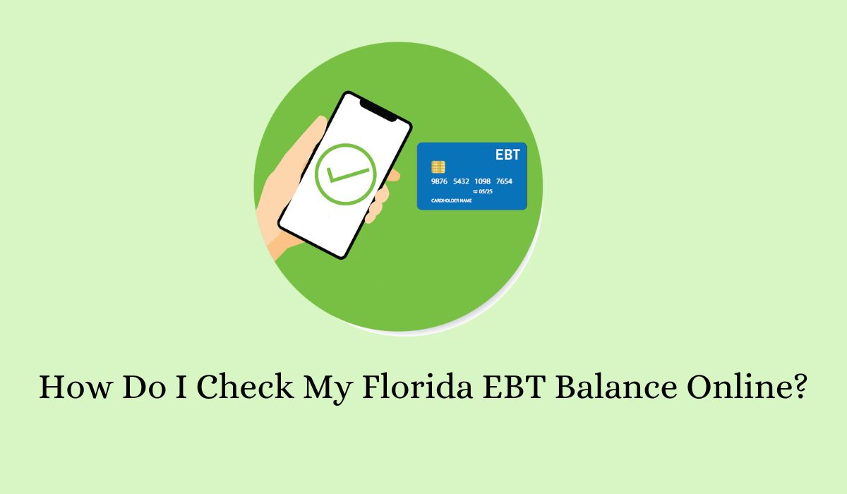 How Do I Check My Florida EBT Balance Online