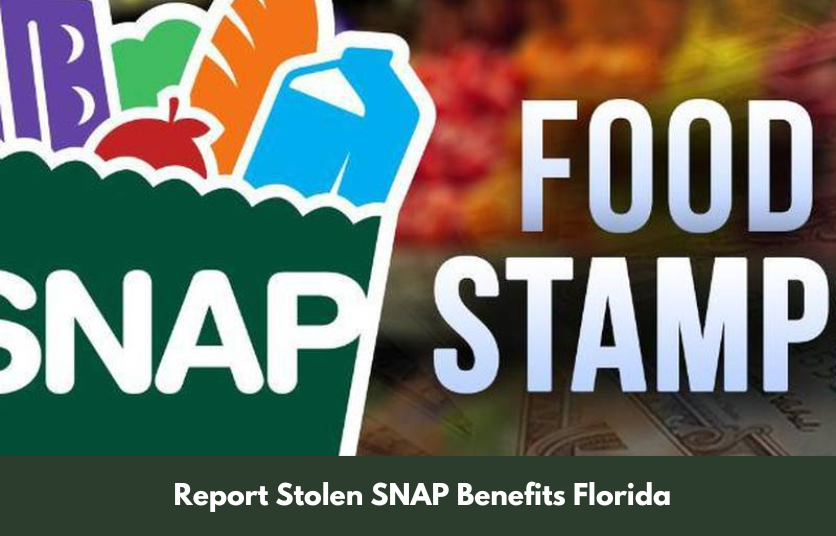 Report Stolen SNAP Benefits Florida