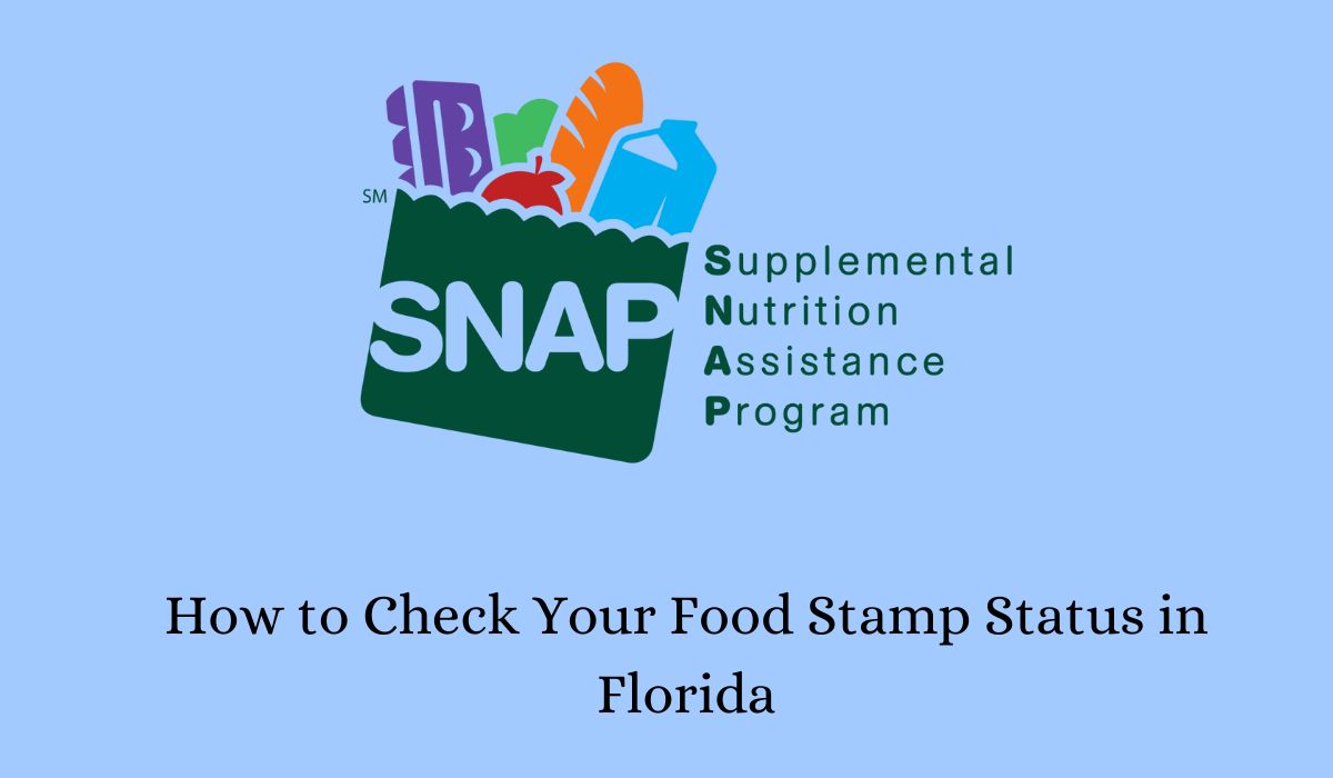 How to Check Your Food Stamp Status in Florida
