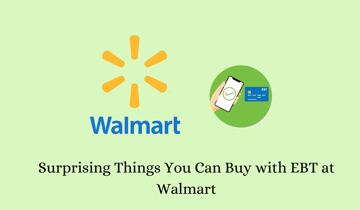 Surprising Things You Can Buy with EBT at Walmart