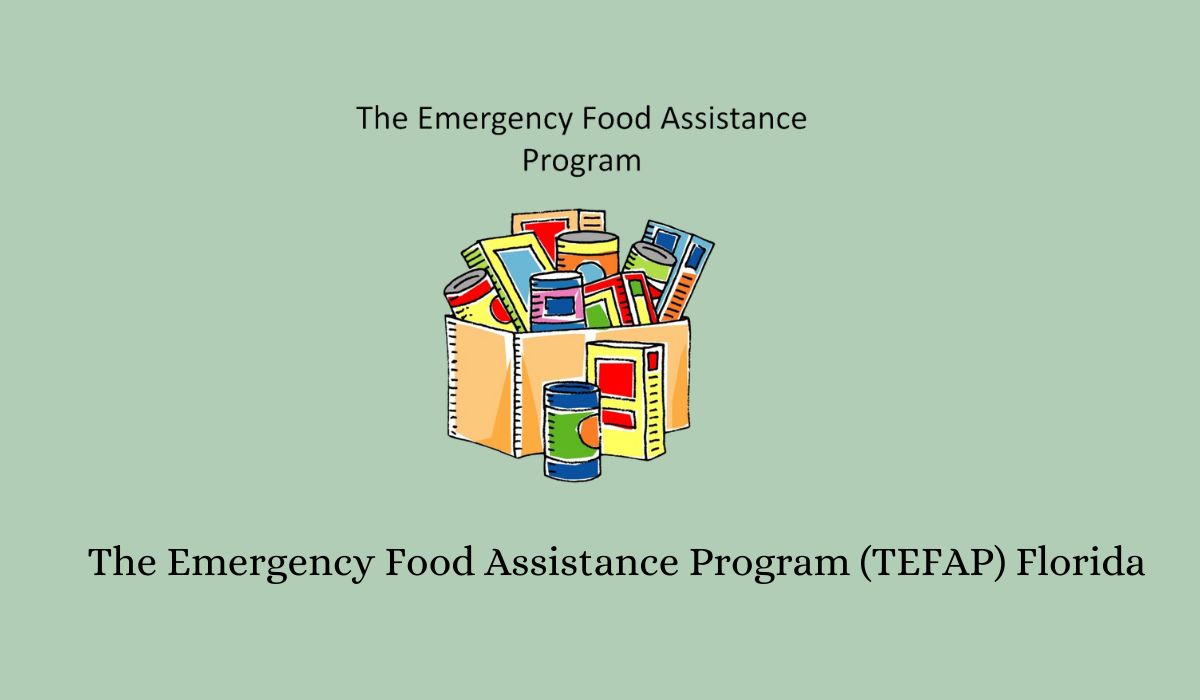 What Is the Emergency Food Assistance Program and Do I Qualify?