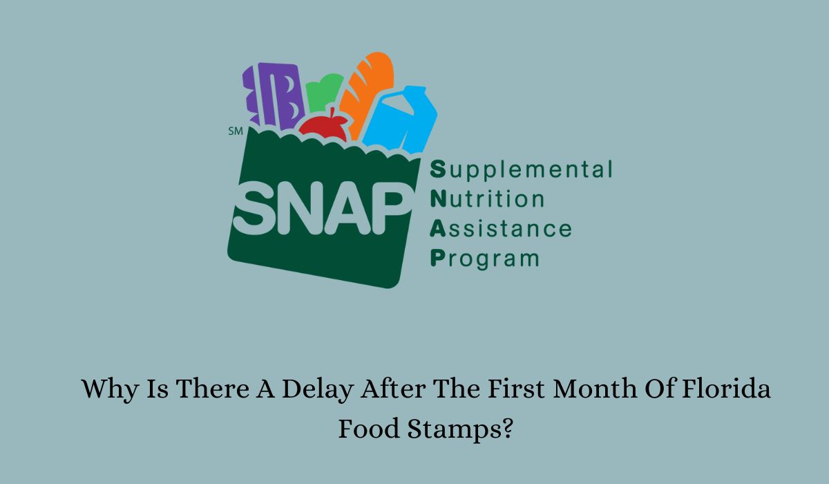 Why Is There A Delay After The First Month Of Florida Food Stamps